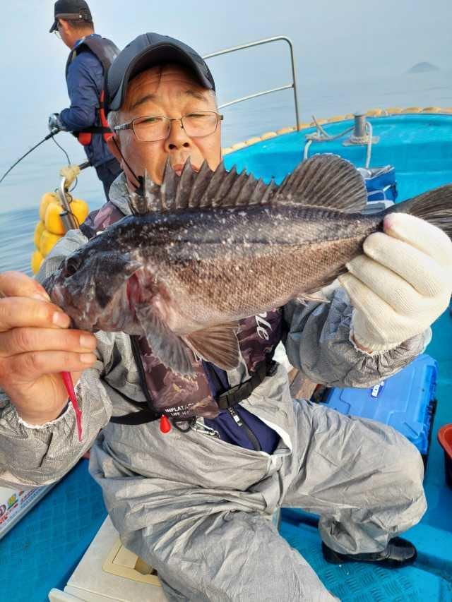 11일 조항 사진 4