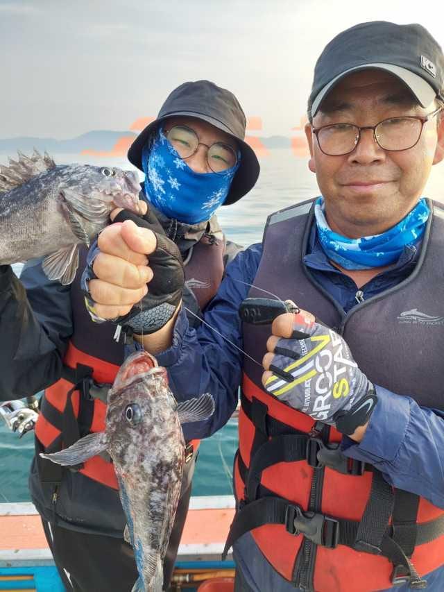 11일 조항 사진 1