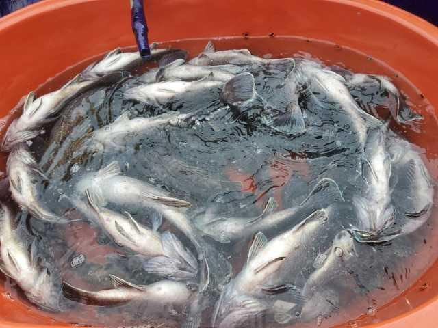 21일 3분10시까지  조항 사진 1