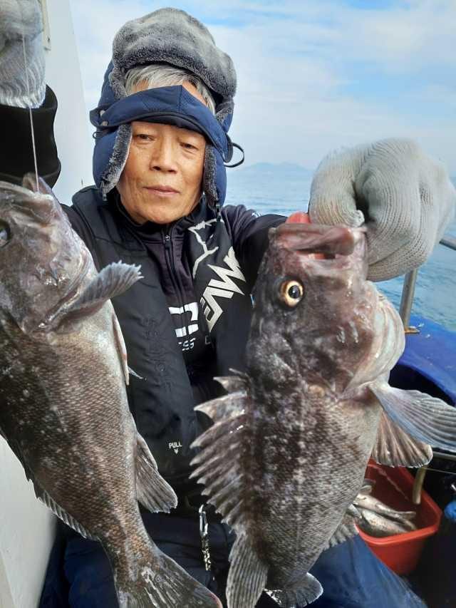 11월20일 조항 사진 5