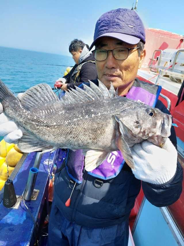 4월1일 조항 사진 6