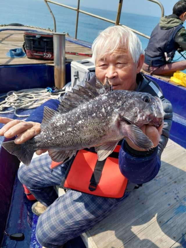 4월1일 조항 사진 7