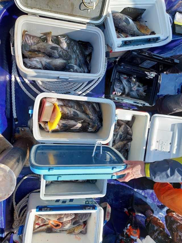 5월1일 조항 사진 4