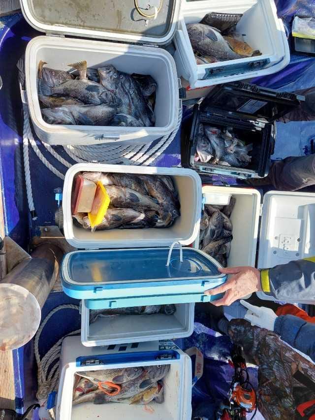 5월1일 조항 사진 5
