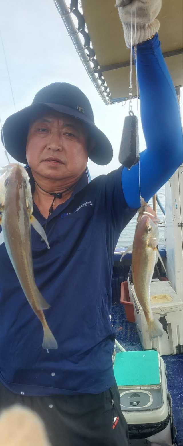 8월15일 백조기조항 사진 3