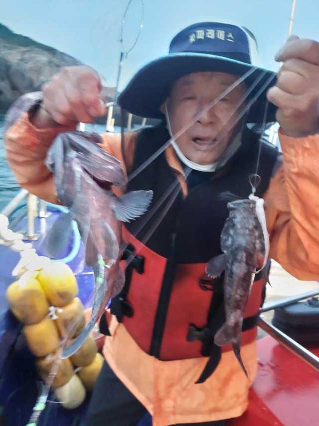 23년 10월 8일 조항 사진 7