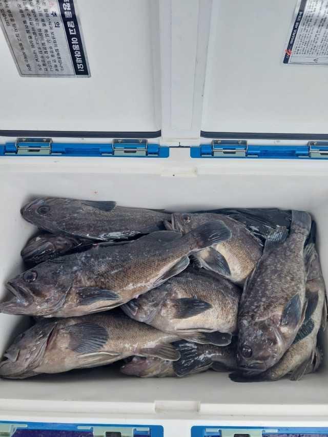 23년 10월 8일 조항 사진 3