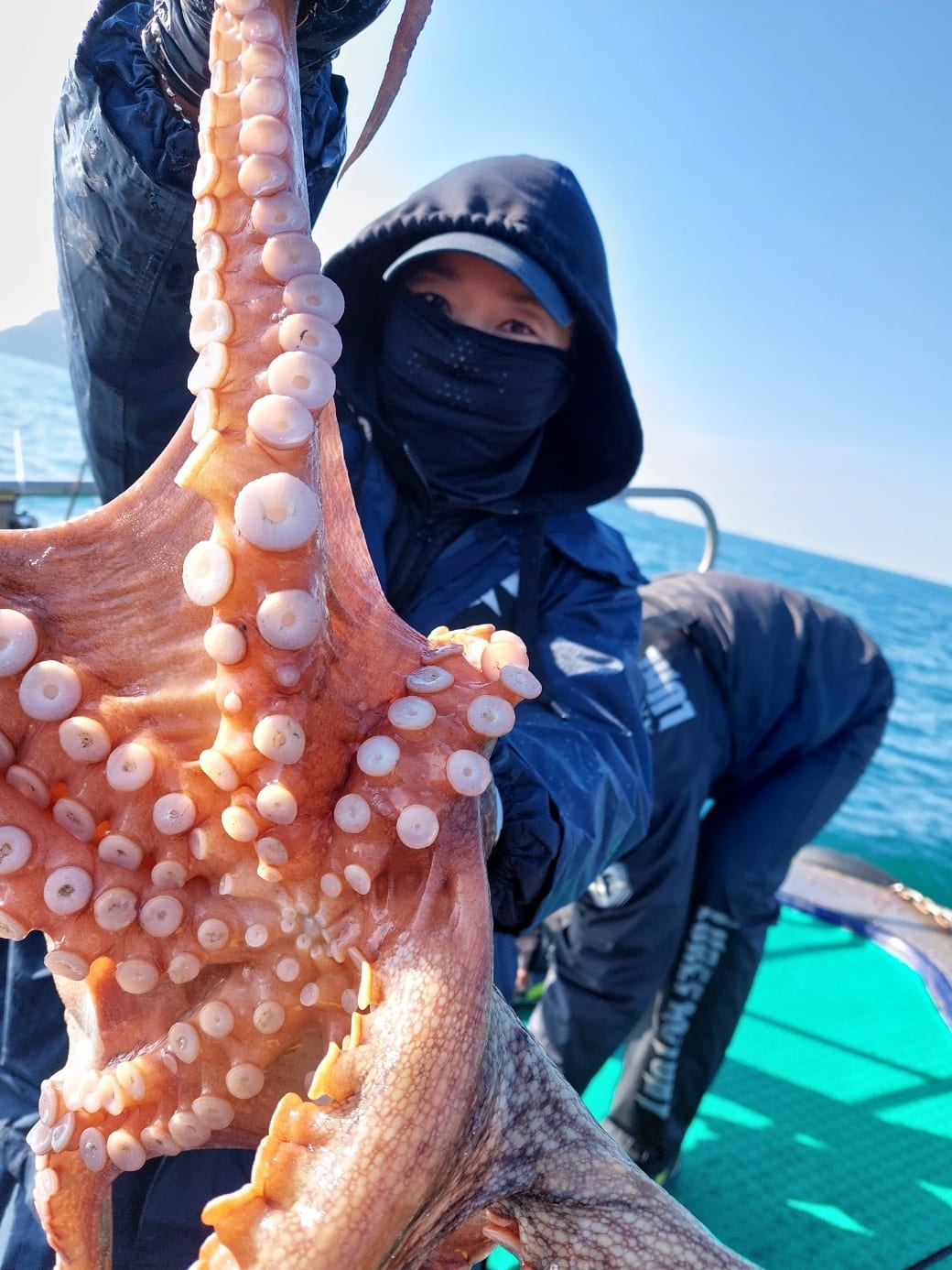 11월 8일 갑오징어 조항 사진 3