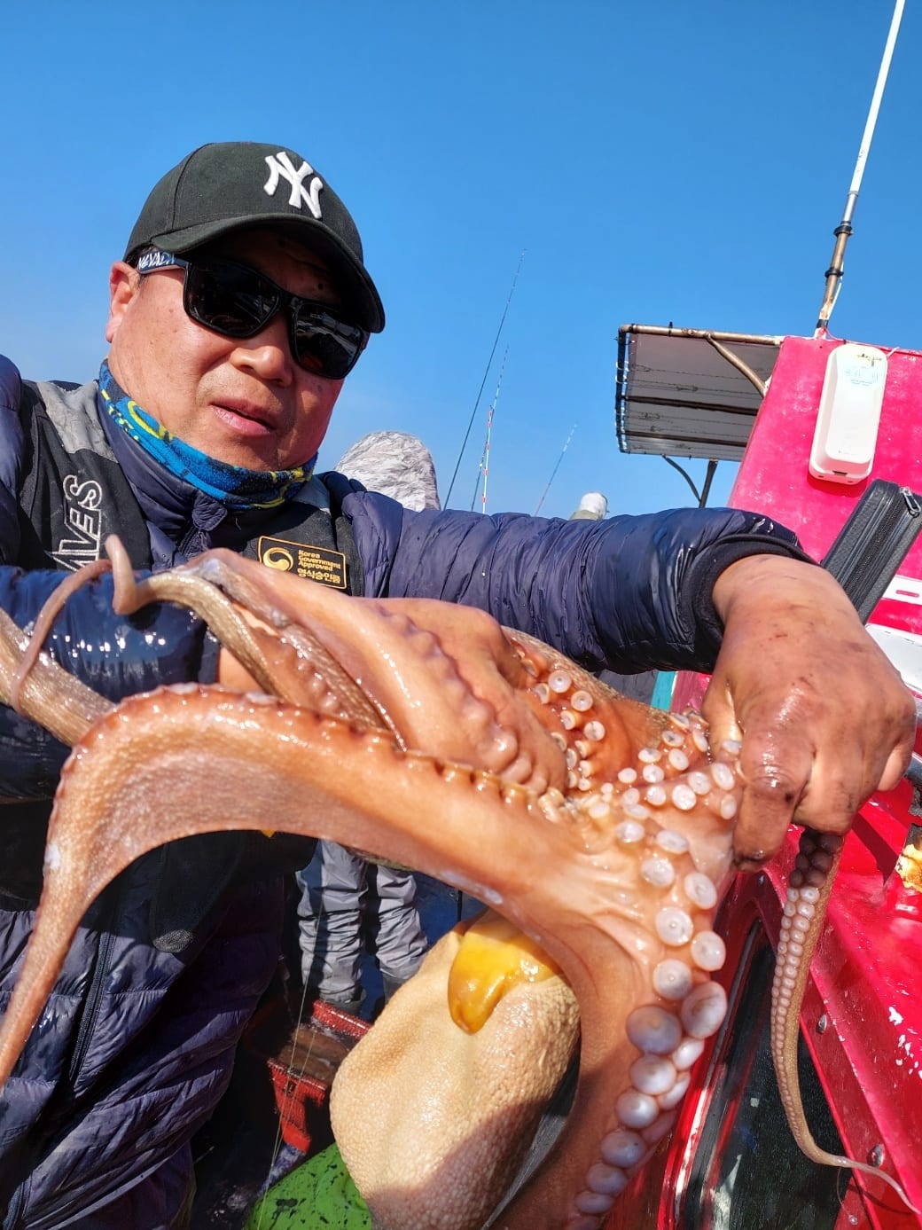 11월 8일 갑오징어 조항 사진 4