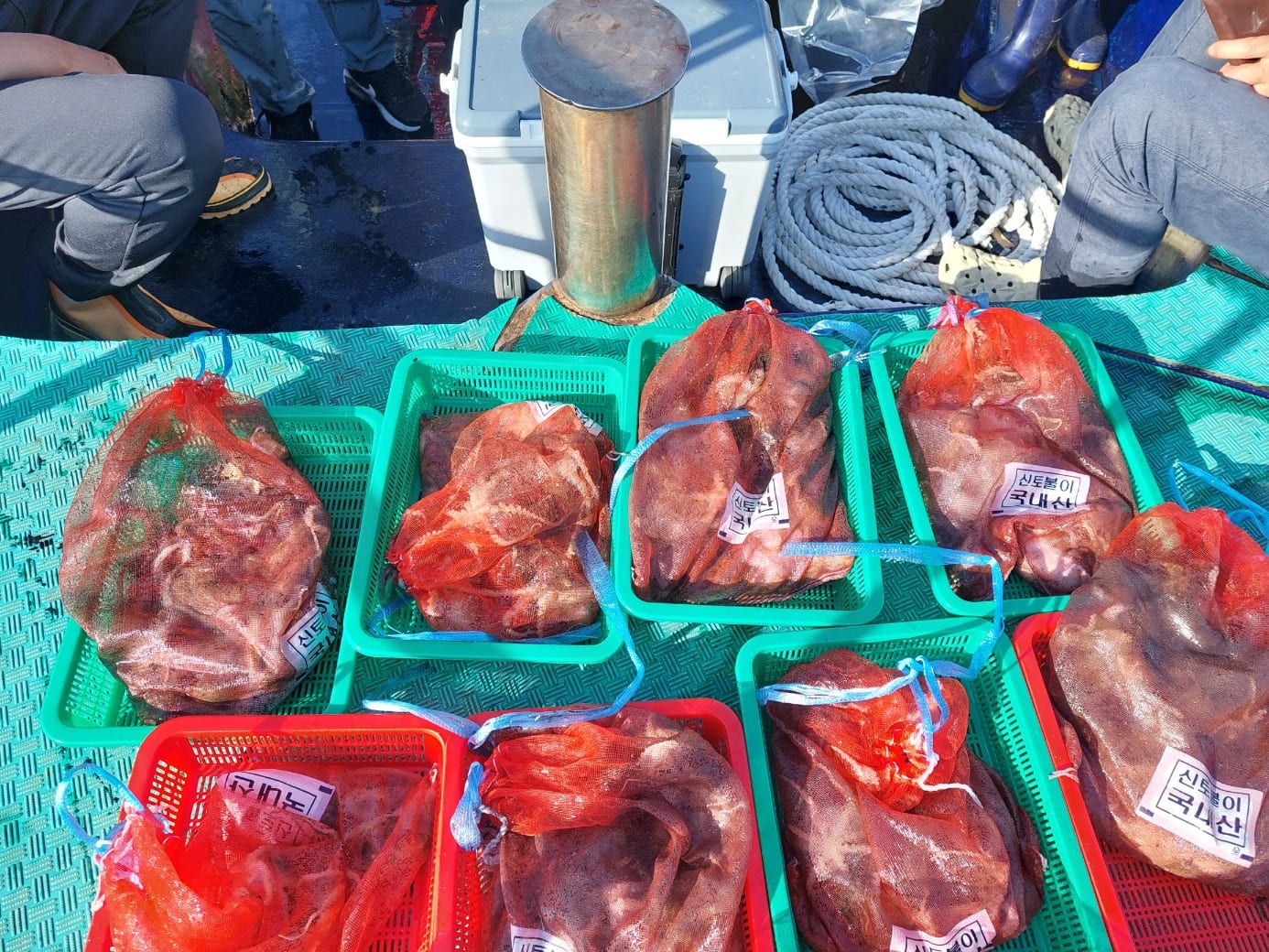 9월20일 주꾸미조항 사진 1