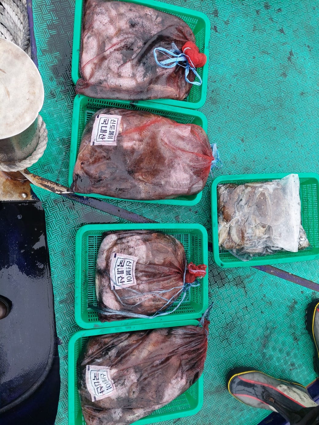 10월 4일 갑오징어조항 사진 4